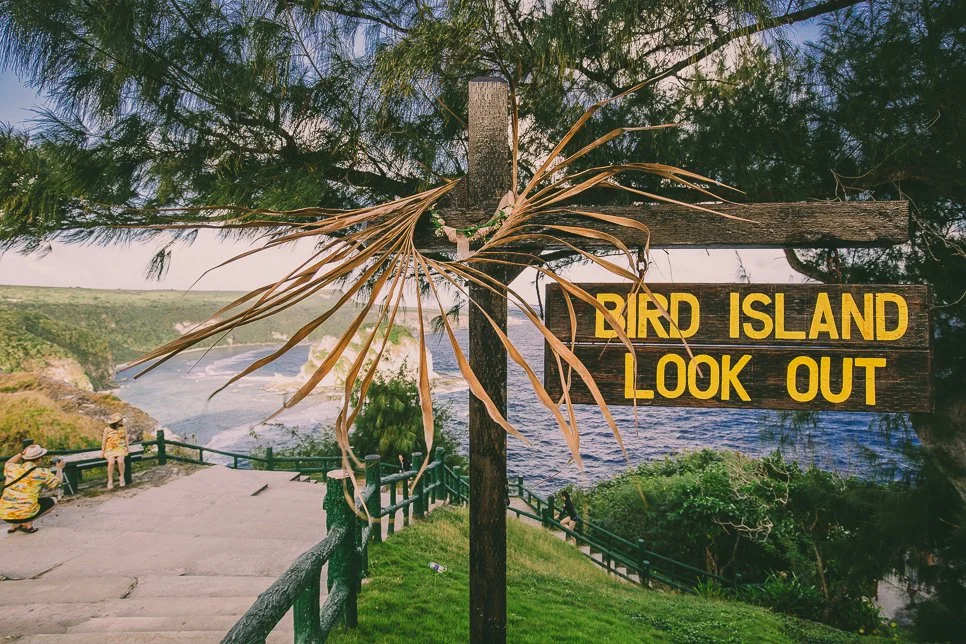 %EC%82%AC%EC%9D%B4%ED%8C%90__Bird_Island_2.jpg?type=w1200