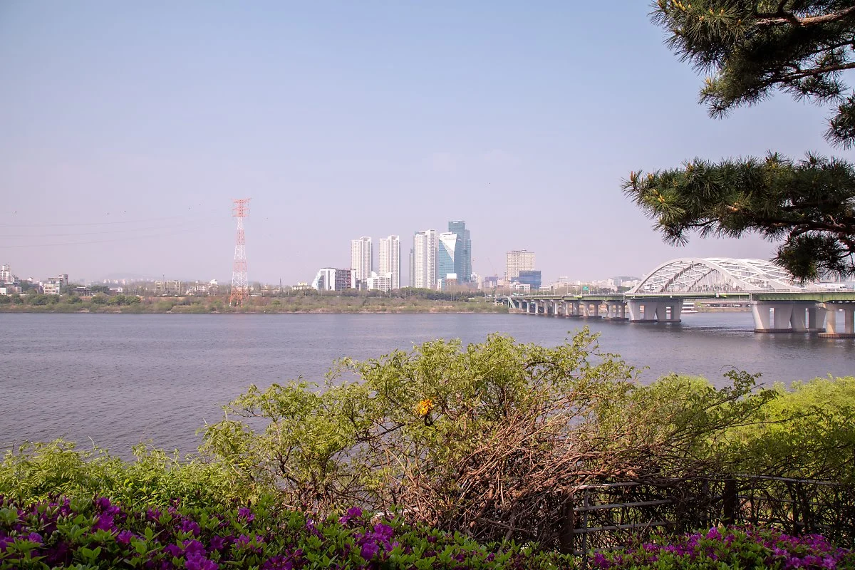 %EC%84%A0%EC%9C%A0%EB%8F%84%EA%B3%B5%EC%9B%90_%284%29.jpg?type=w1200