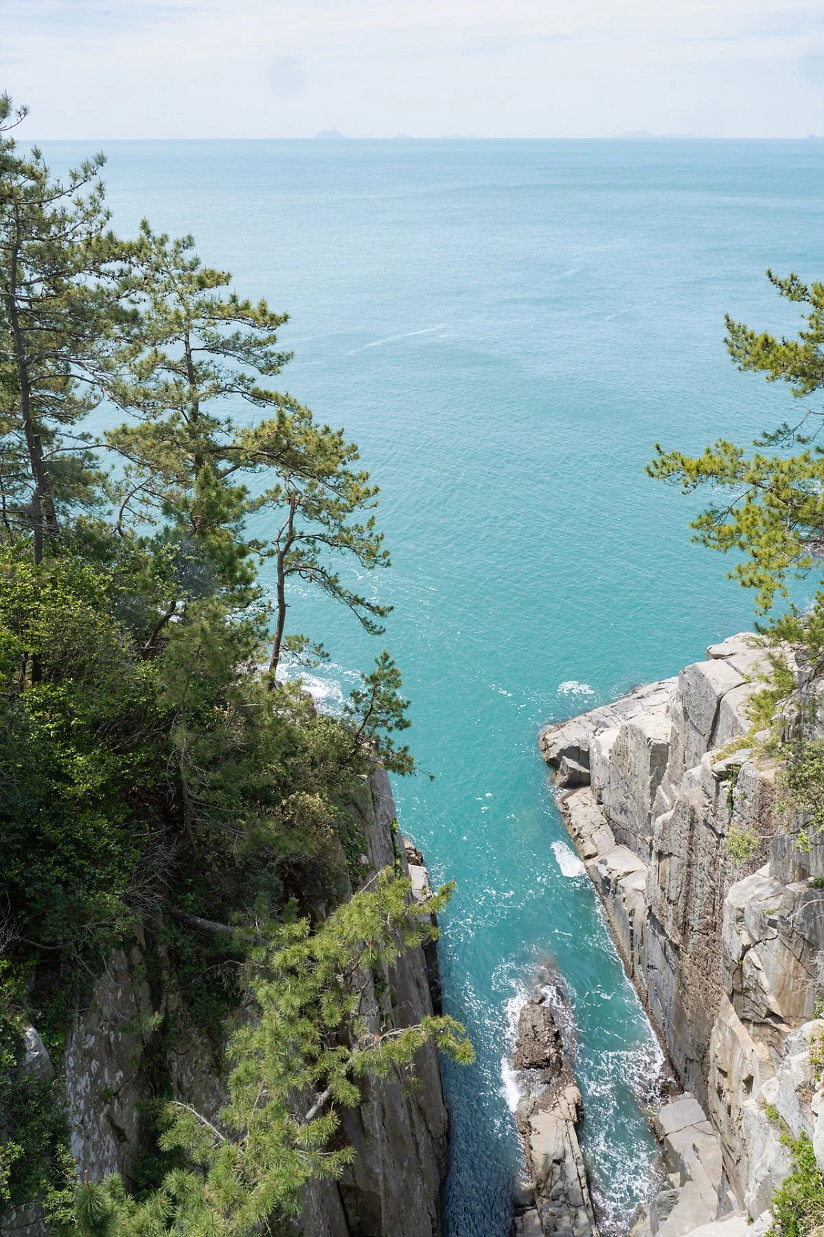 %EB%B9%84%EB%A0%81%EA%B8%B8_%283%29.jpg?type=w1200