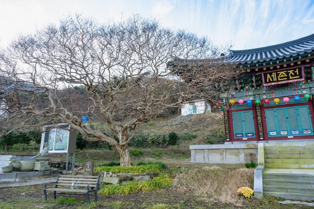 %EB%82%B4%EC%9B%90%EC%95%94_%EB%B0%B0%EB%A1%B1%EB%82%98%EB%AC%B4_%281%29.jpg?type=w1200