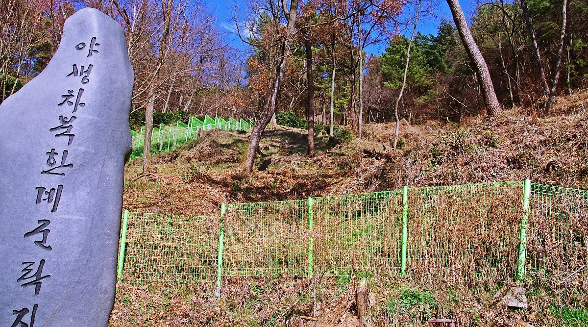 %ED%95%A8%EB%9D%BC%EC%82%B0_%EC%9E%84%EB%8F%84%EC%97%90%EC%84%9C_%EB%B3%B8_%EC%95%BC%EC%83%9D%EC%B0%A8%EB%B6%81%ED%95%9C%EA%B3%84%EA%B5%B0%EB%9D%BD%EC%A7%80.JPG?type=w1200