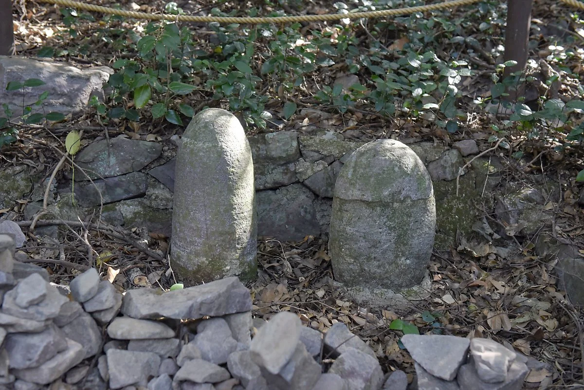 %ED%99%8D%EB%8F%84_%2842%29%EC%B2%AD%EC%96%B4%EB%AF%B8%EB%A5%B5.jpg?type=w1200