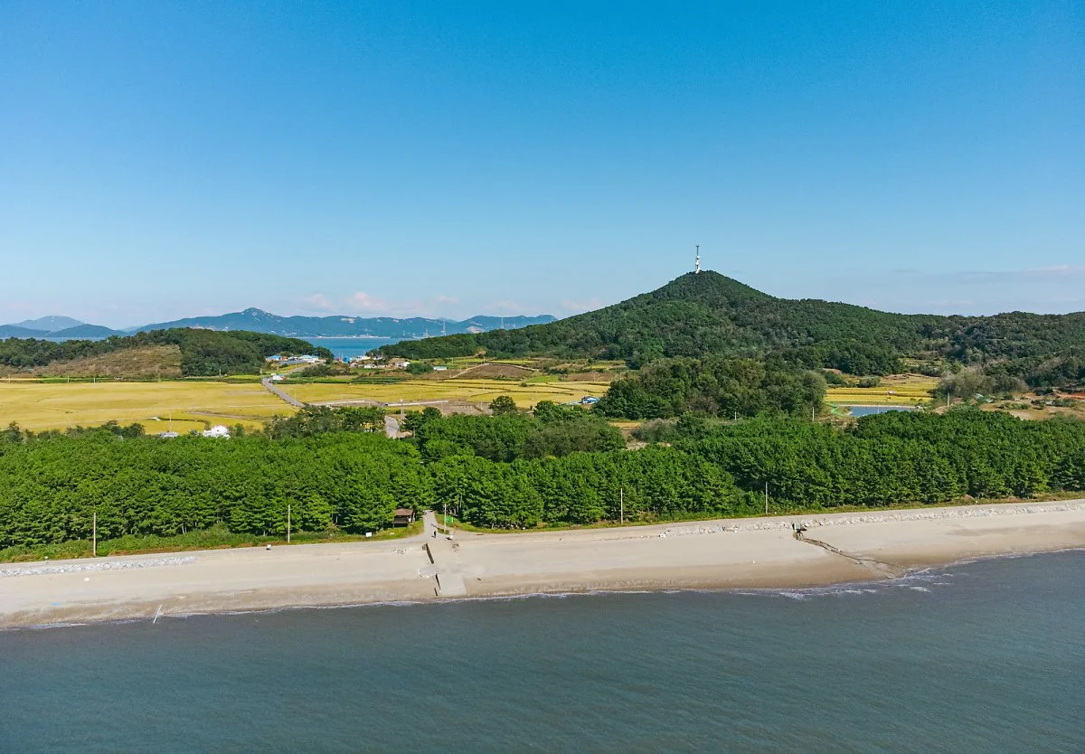 %EB%8C%80%EB%B9%88%EC%B0%BD%ED%95%B4%EB%B3%80.jpg?type=w1200