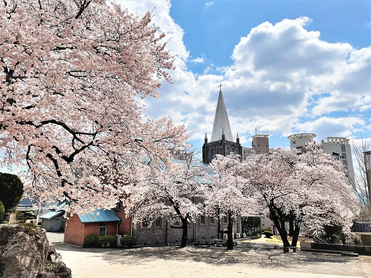 %EC%96%B8%EC%96%91%EC%84%B1%EB%8B%B9_%281%29.JPG?type=w1200