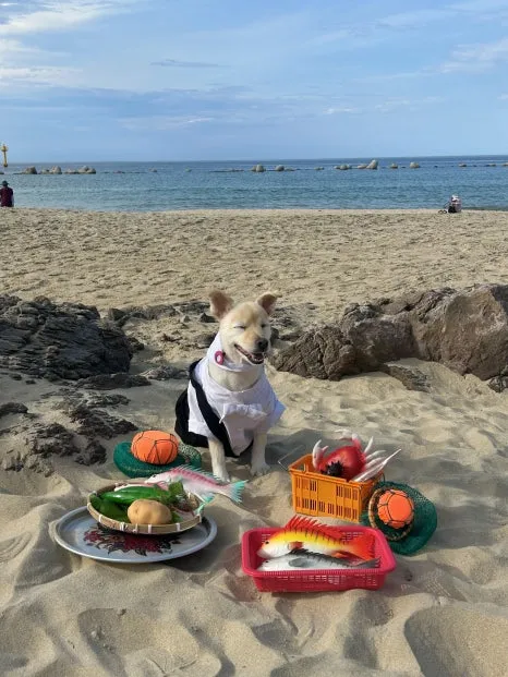 KakaoTalk_20250905_224745999.jpg?type=w466