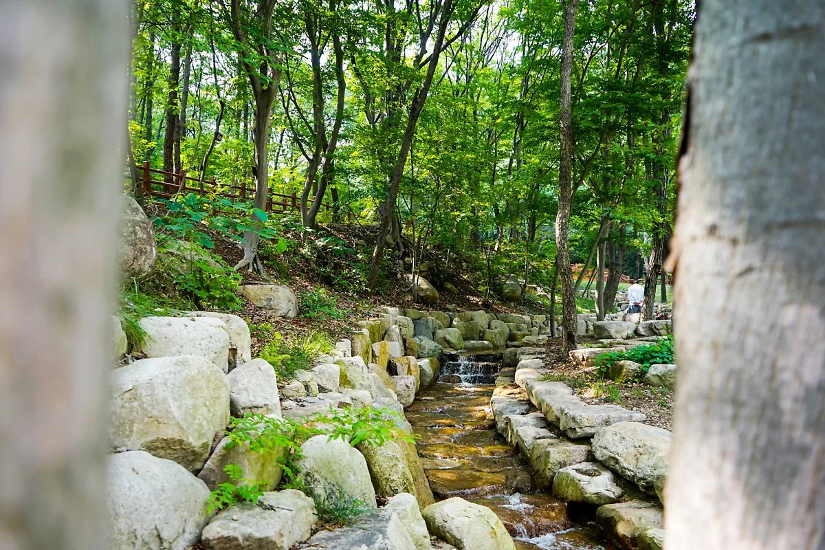 5._%EB%8C%80%EC%9A%B4%EC%82%B0_%EC%B9%98%EC%9C%A0%EC%9D%98_%EC%88%B2_%281%29.JPG?type=w1200