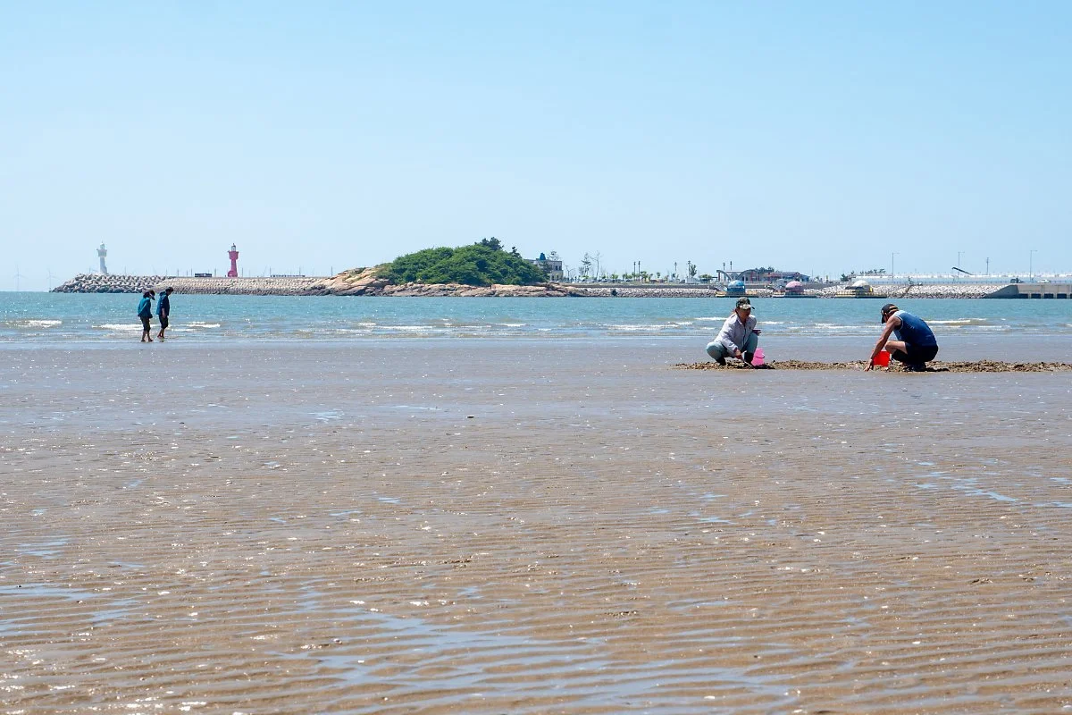 %28%EC%A0%84%EB%B6%81%EA%B3%A0%EC%B0%BD%29%EA%B5%AC%EC%8B%9C%ED%8F%AC_%ED%95%B4%EC%88%98%EC%9A%95%EC%9E%A5%EC%9D%80_%EB%AC%BC%EC%9D%B4_%EB%B9%A0%EC%A0%B8%EB%8F%84_%EA%B0%AF%EB%B2%8C%EC%9D%B4_%EC%95%84%EB%8B%8C_%EB%AA%A8%EB%9E%98%EC%82%AC%EC%9E%A5.jpg?type=w1200