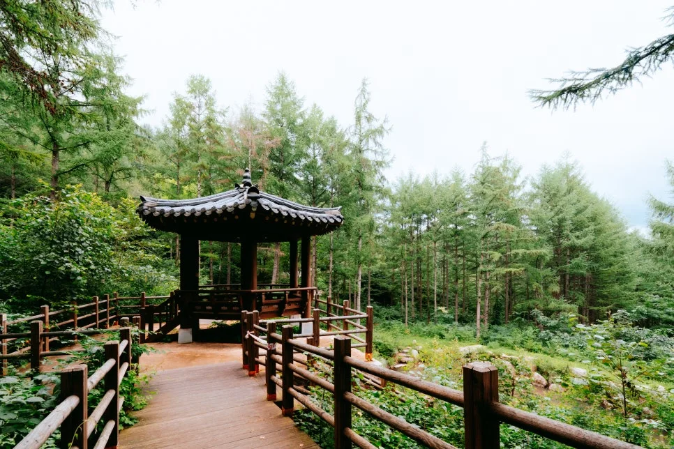 %ED%81%AC%EA%B8%B0%EB%B3%80%ED%99%98%EA%B5%AD%EB%A6%BD%EA%B9%80%EC%B2%9C%EC%B9%98%EC%9C%A0%EC%9D%98%EC%88%B2_(9).jpg?type=w966