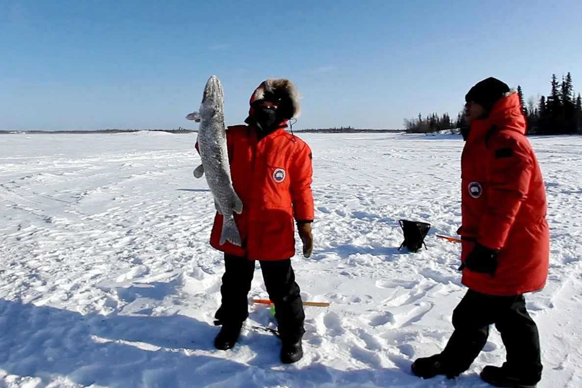 %EC%96%BC%EC%9D%8C%EB%82%9A%EC%8B%9C.jpg?type=w1200