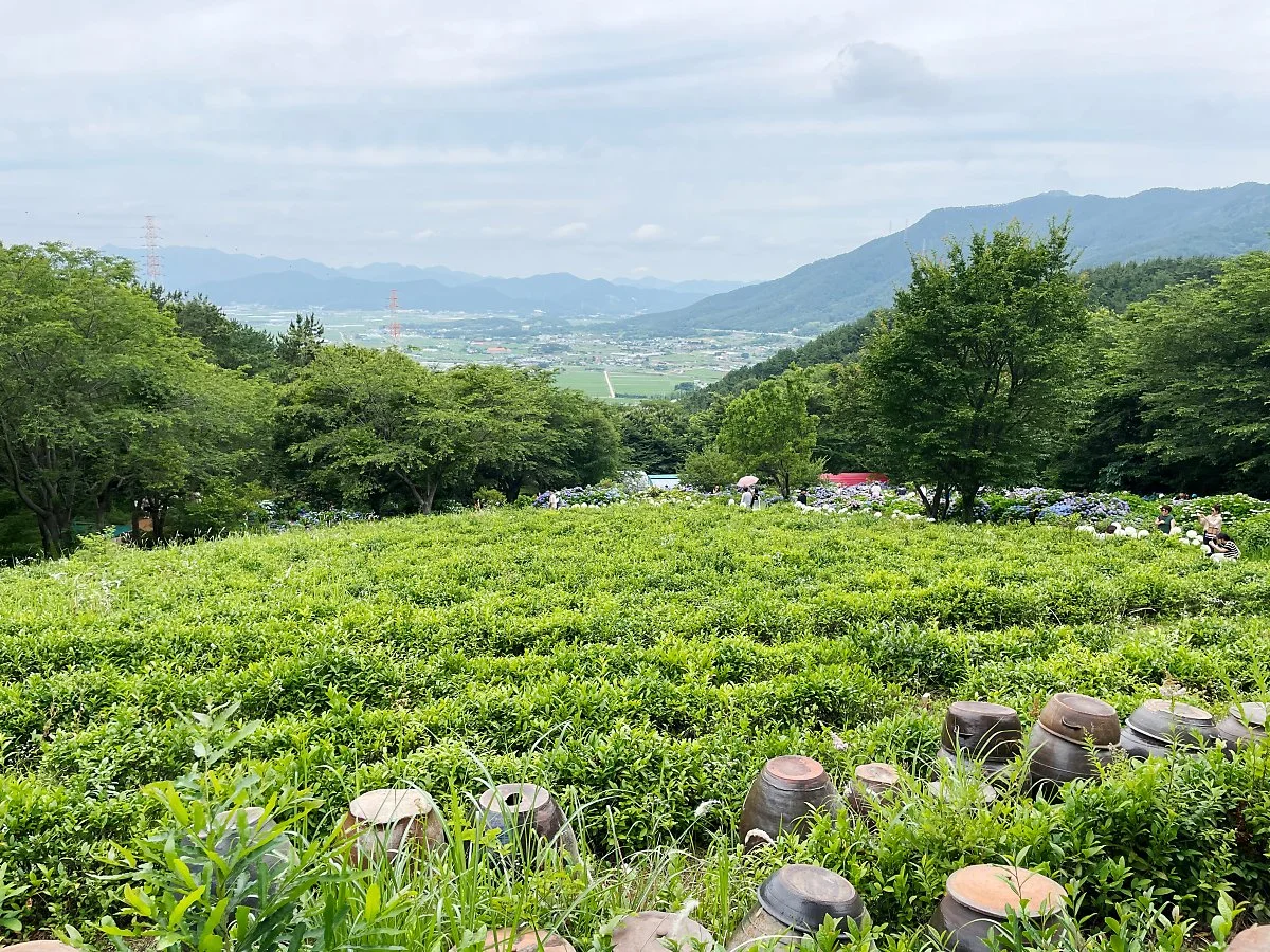 %EB%A7%8C%ED%99%94%EB%B0%A9%EC%B4%88_%283%29.JPG?type=w1200