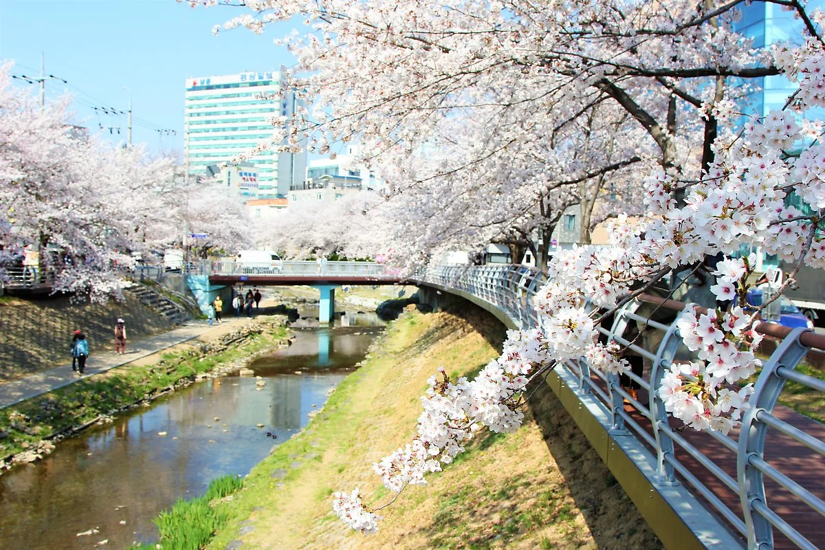 02%EA%B6%81%EA%B1%B0%EB%9E%91_%285%29.JPG?type=w1200