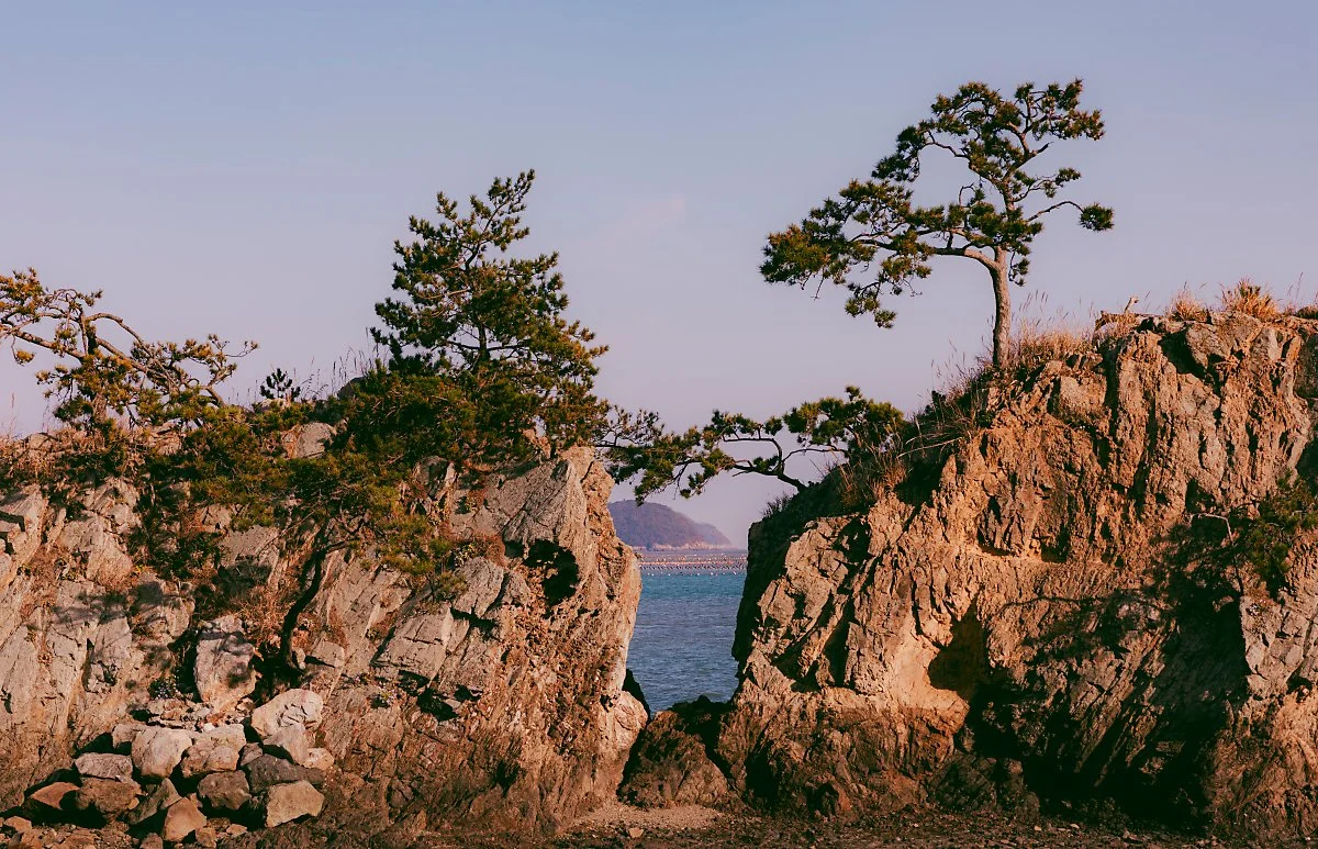 d_%EB%A7%B4%EC%84%AC_1.jpg?type=w1200