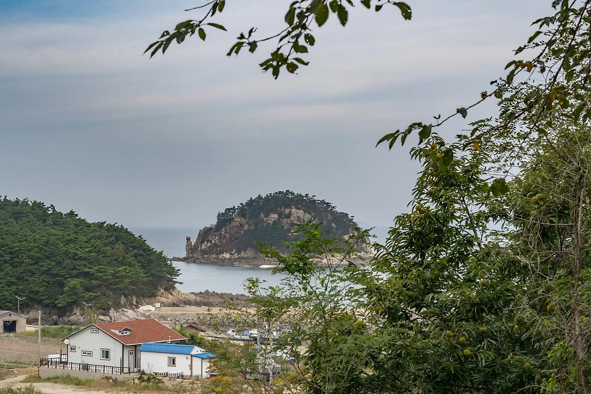 %EC%9E%A5%EA%B5%B0%EB%B0%94%EC%9C%84.jpg?type=w1200