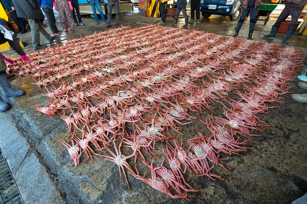 %EC%A3%BD%EB%B3%80%ED%95%AD_%283%29.jpg?type=w1200