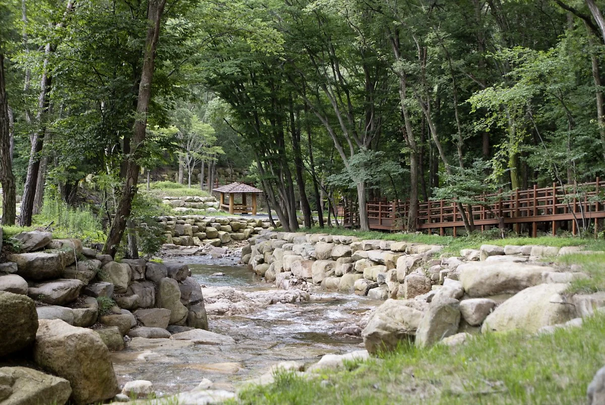 4-1_%EA%B5%AD%EB%A6%BD%EB%8C%80%EC%9A%B4%EC%82%B0%EC%B9%98%EC%9C%A0%EC%9D%98%EC%88%B2.jpg?type=w1200