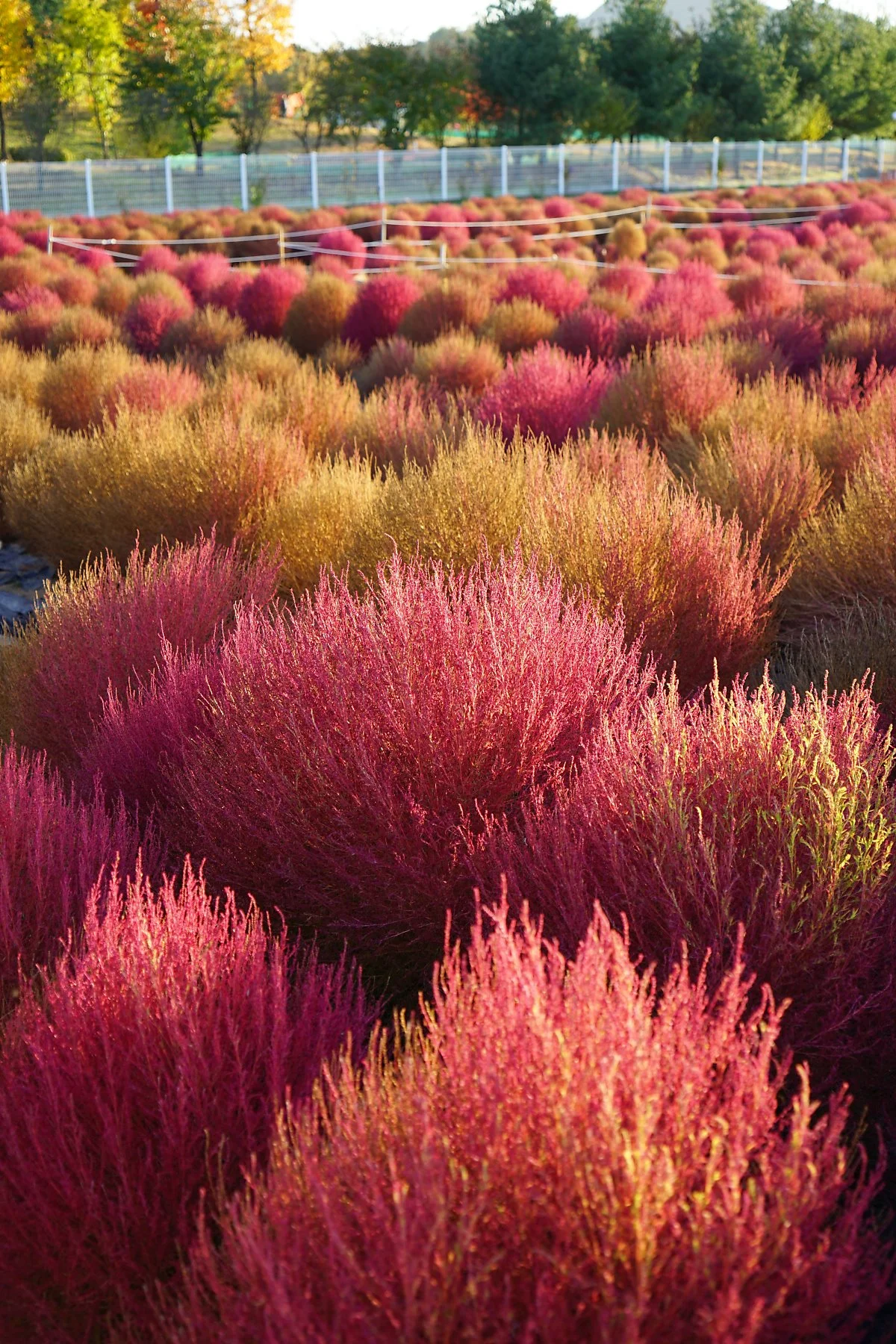 DSC08323.JPG?type=w1200