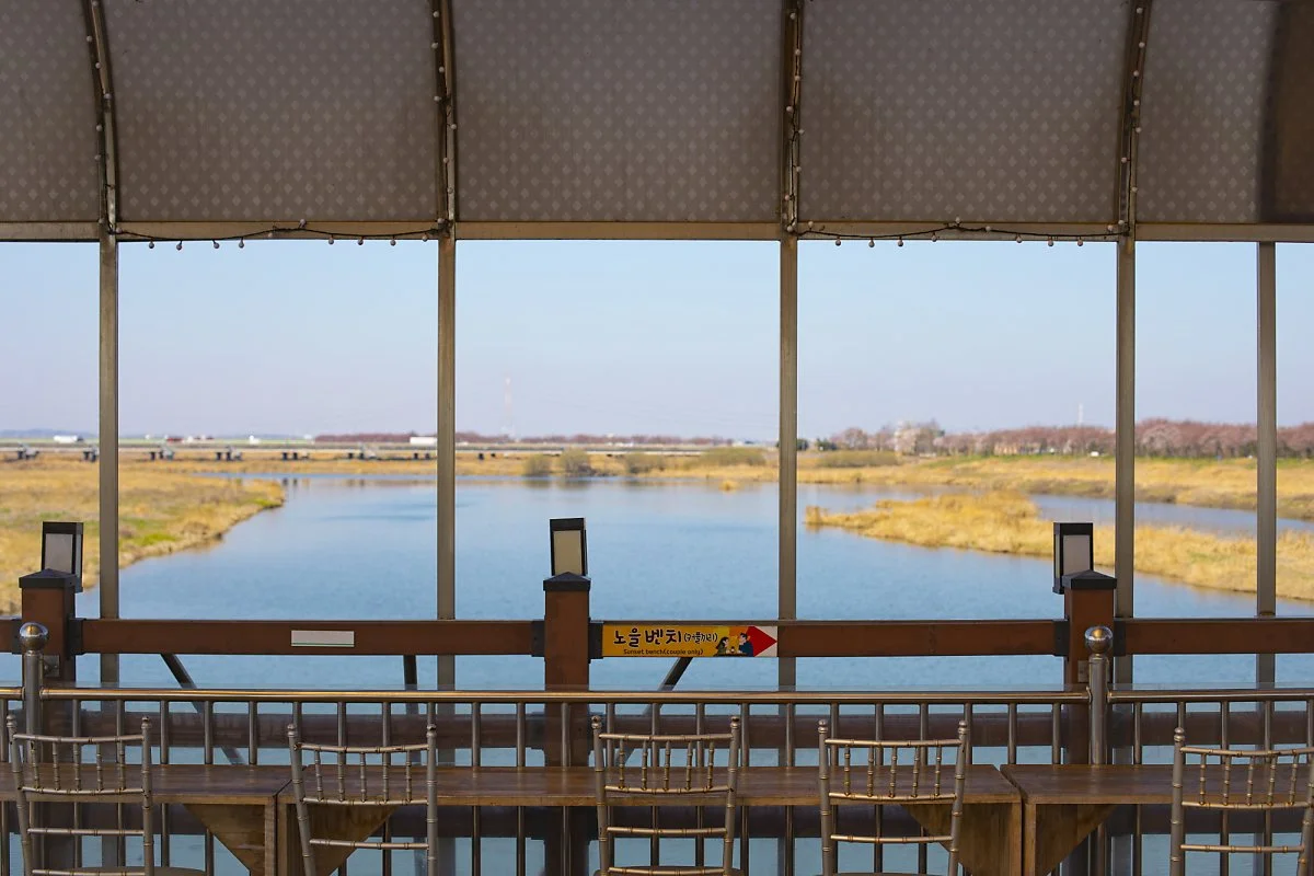 %EB%B9%84%EB%B9%84%EC%A0%95%EC%98%88%EC%88%A0%EC%97%B4%EC%B0%A8%283%29.jpg?type=w1200