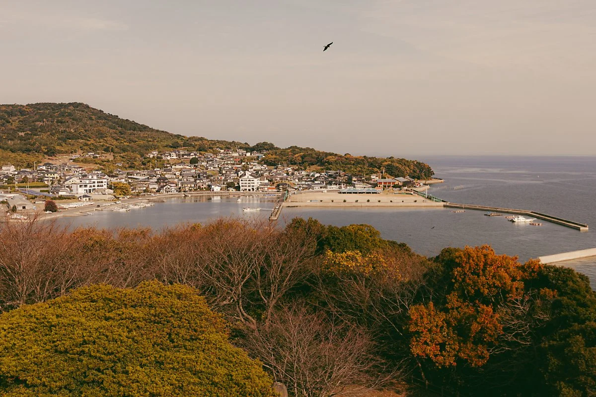 castle%281%29.jpg?type=w1200