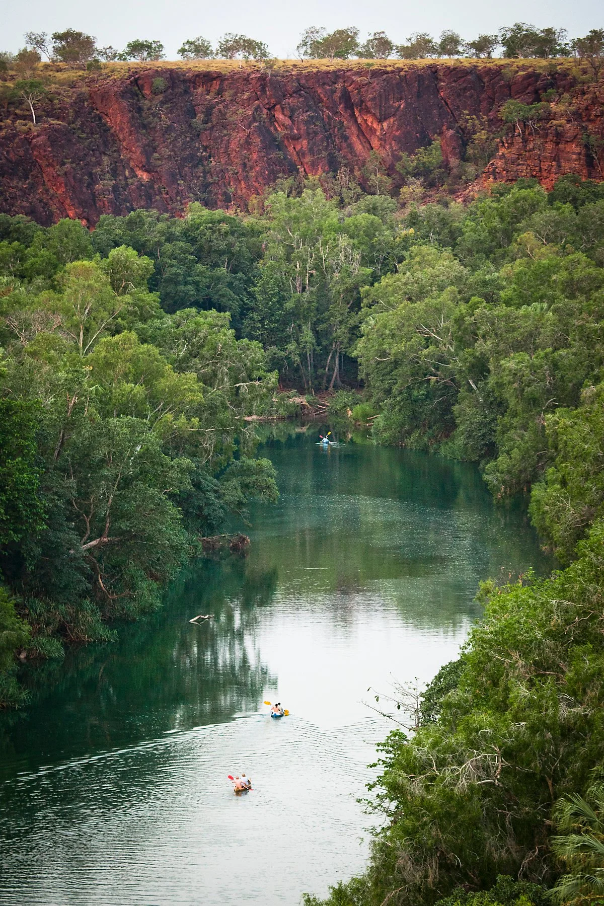 adels_grove.jpg?type=w1200