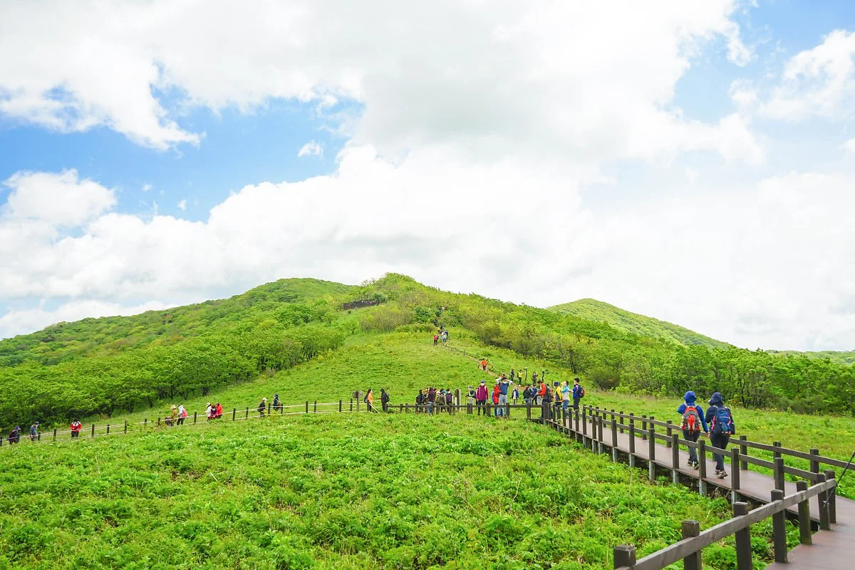 %EA%B3%B0%EB%B0%B0%EB%A0%B9_%EC%A0%95%EC%83%81_%281%29.JPG?type=w1200