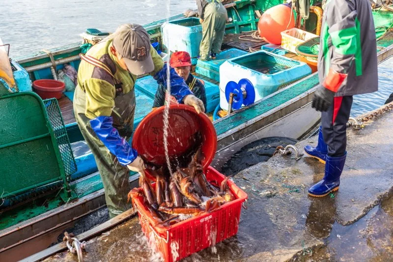 %EC%96%B4%ED%8C%90%EC%9E%A5_%EC%98%A4%EC%A7%95%EC%96%B4_%282%29.jpg?type=w1200