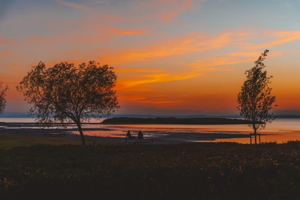 %EB%85%B8%EC%9D%B4%EC%8B%9C%EB%93%9C_%ED%98%B8%EC%88%98_%2812%29.jpg?type=w1200