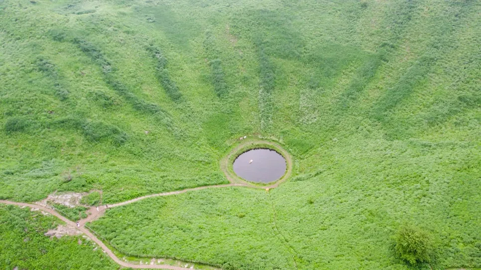 %EC%A0%95%EC%84%A0-%EB%8F%8C%EB%A6%AC%EB%84%A4.jpg?type=w966