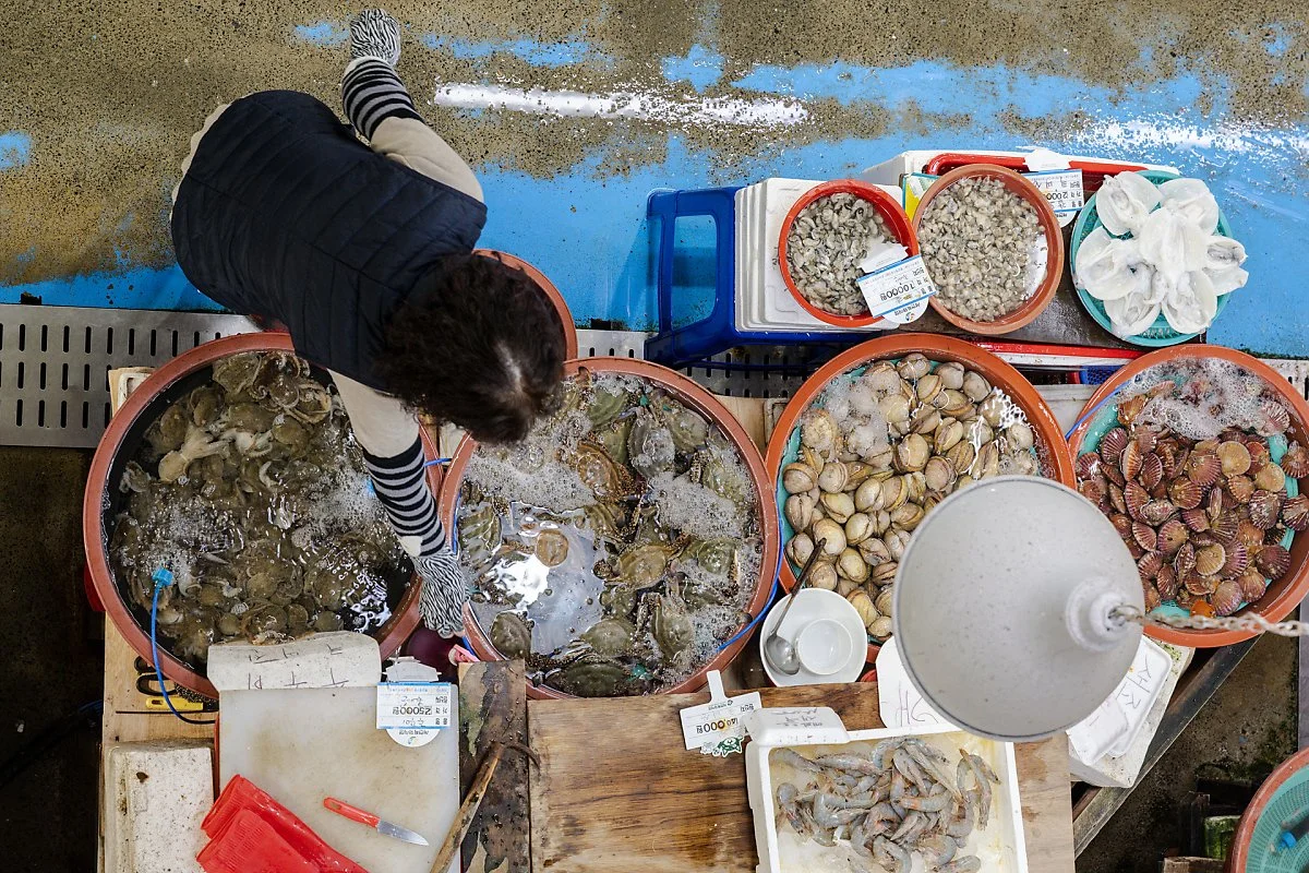 %EC%84%9C%EC%B2%9C%ED%8A%B9%ED%99%94%EC%8B%9C%EC%9E%A5_%281%29.jpg?type=w1200