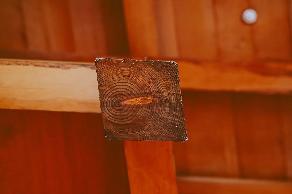 %EA%B0%80%EB%82%98%EC%9E%90%EC%99%80%EC%84%B1%284%29.jpg?type=w1200