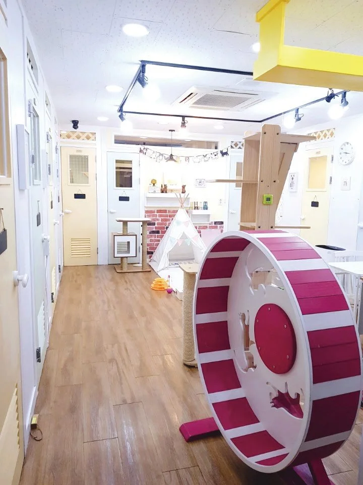 %EC%8B%9D%EB%B9%B5%EA%B5%BD%EB%8A%94%EB%82%98%EB%B9%84_%282%29.jpg?type=w1200