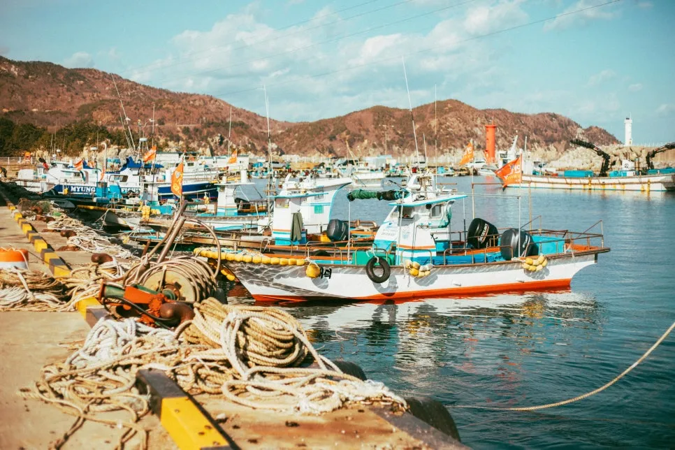 %EC%9E%A5%ED%98%B8%ED%95%AD_(10).jpg?type=w966