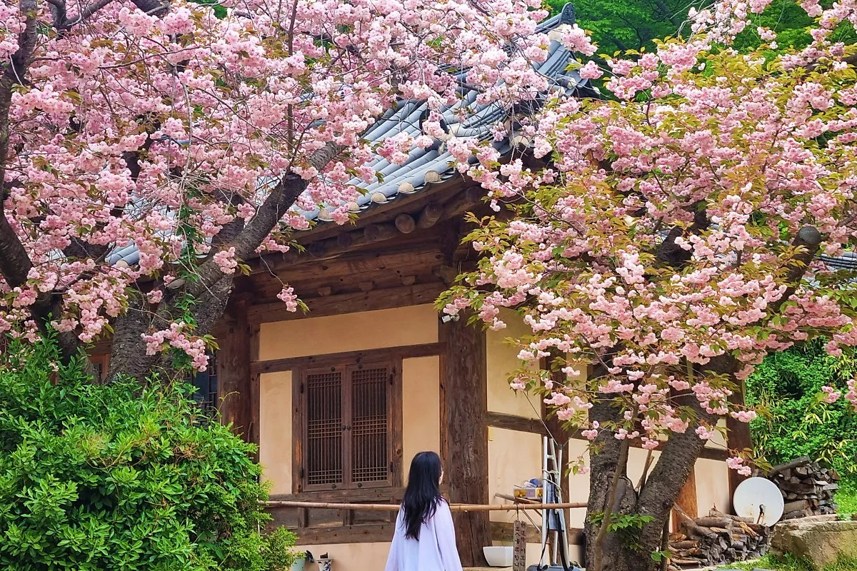 04%EA%B0%9C%EC%8B%AC%EC%82%AC_%284%29.jpg?type=w1200