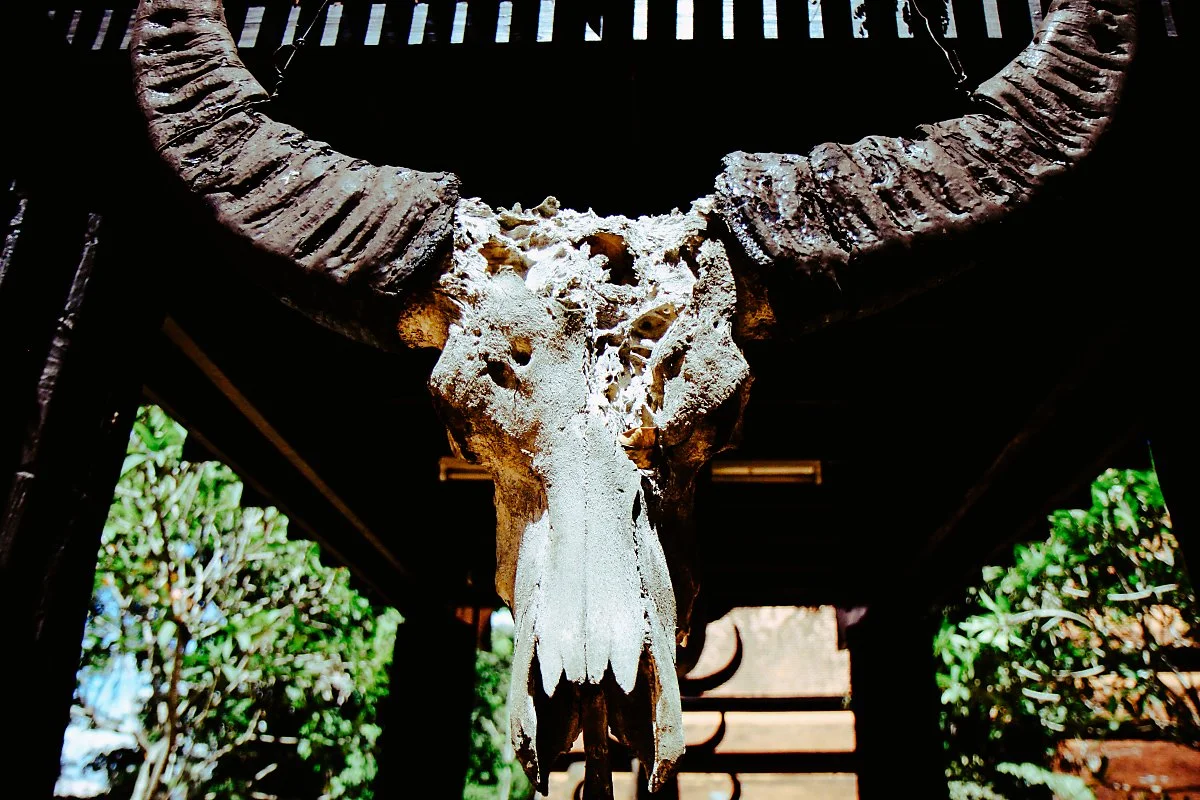 %EA%B2%80%EC%9D%80%EC%A7%91-12.jpg?type=w1200