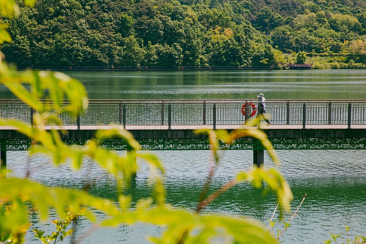 d_%EC%95%84%EC%A4%91%ED%98%B8%EC%88%98_%EC%83%9D%ED%83%9C%EA%B3%B5%EC%9B%90.jpg?type=w1200