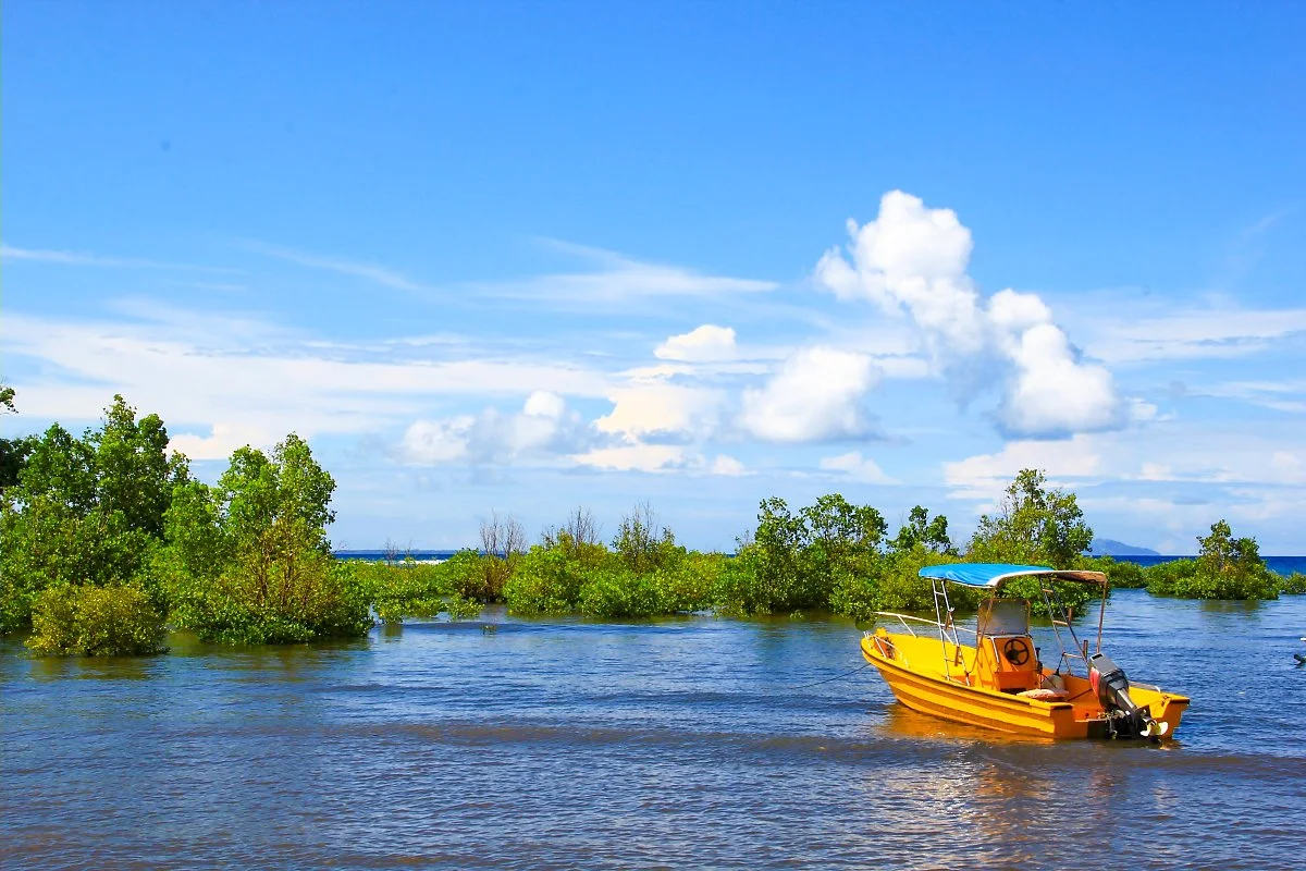 %EB%B0%94%ED%98%B8%EC%9D%B4.jpg?type=w1200