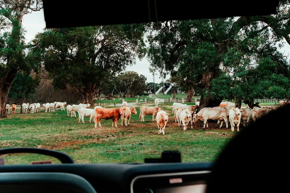 %EB%A7%88%EC%9A%B4%ED%8A%B8_%EC%9C%8C%EB%A6%AC%EC%97%84_%EC%8A%A4%ED%85%8C%EC%9D%B4%EC%85%98_%281%29.jpg?type=w1200