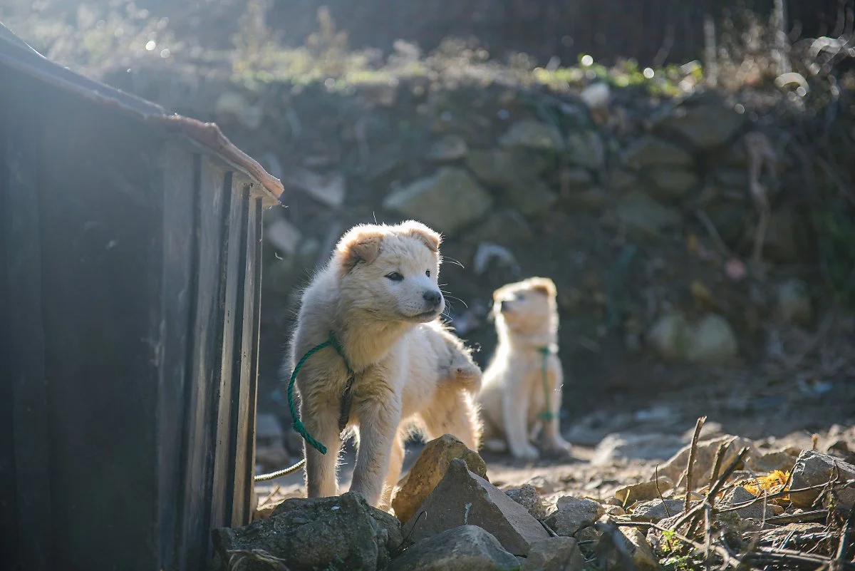 %EB%A7%88%EC%9D%84_%282%29.jpg?type=w1200