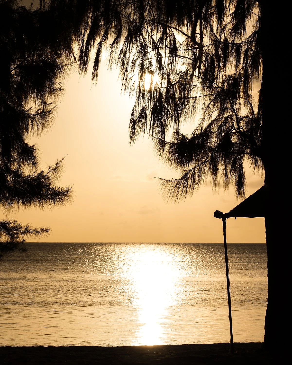 %EC%82%AC%EC%9D%B4%ED%8C%90_%EB%A7%88%EB%82%98%EA%B0%80%ED%95%98_%EC%84%AC_5.jpg?type=w1200