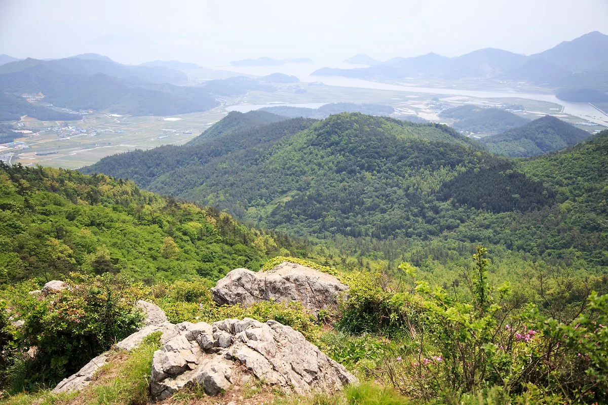 %EC%9A%B0%EB%93%9C%EB%9E%9C%EB%93%9C_%EA%B9%80%EB%8F%84%ED%98%95_2.JPG?type=w1200