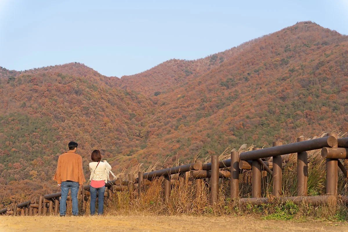 %EC%82%AC%EC%A7%847_%ED%95%B4_%EC%A7%88_%EB%85%98%EC%9D%98_%EA%B3%A0%EB%AA%A8%EC%82%B0%EC%84%B1.jpg?type=w1200