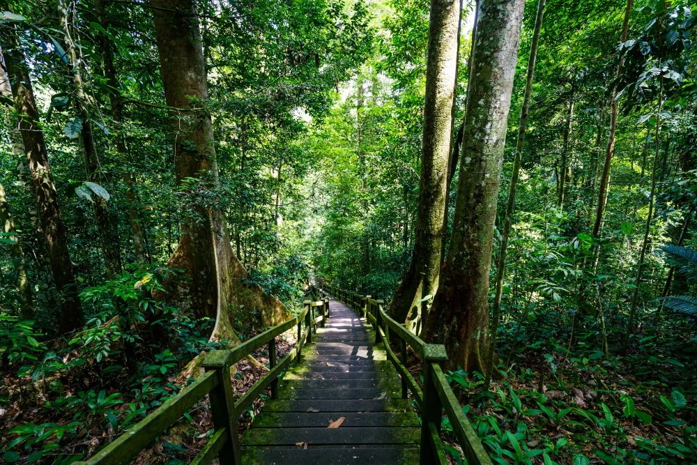 %ED%85%9C%EB%B6%80%EB%A1%B1.jpg?type=w1200