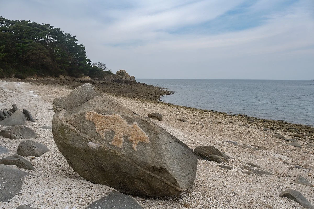 %ED%98%B8%EB%9E%91%EC%9D%B4%EC%83%88%EB%81%BC%EB%82%B3%EB%8A%94%EB%B0%94%EC%9C%84.jpg?type=w1200