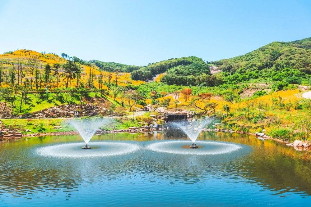 %EA%B0%95%ED%99%94_%EC%94%A8%EC%82%AC%EC%9D%B4%EB%93%9C_%EB%A6%AC%EC%A1%B0%ED%8A%B8_%287%29.jpg?type=w1200