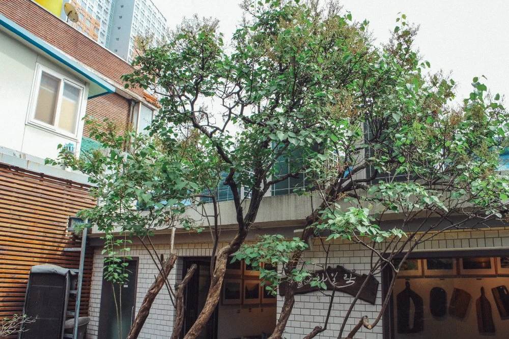 %EB%9D%BC%EC%9D%BC%EB%9D%BD%EB%9C%A8%EB%9D%BD_%282%29.JPG?type=w1200