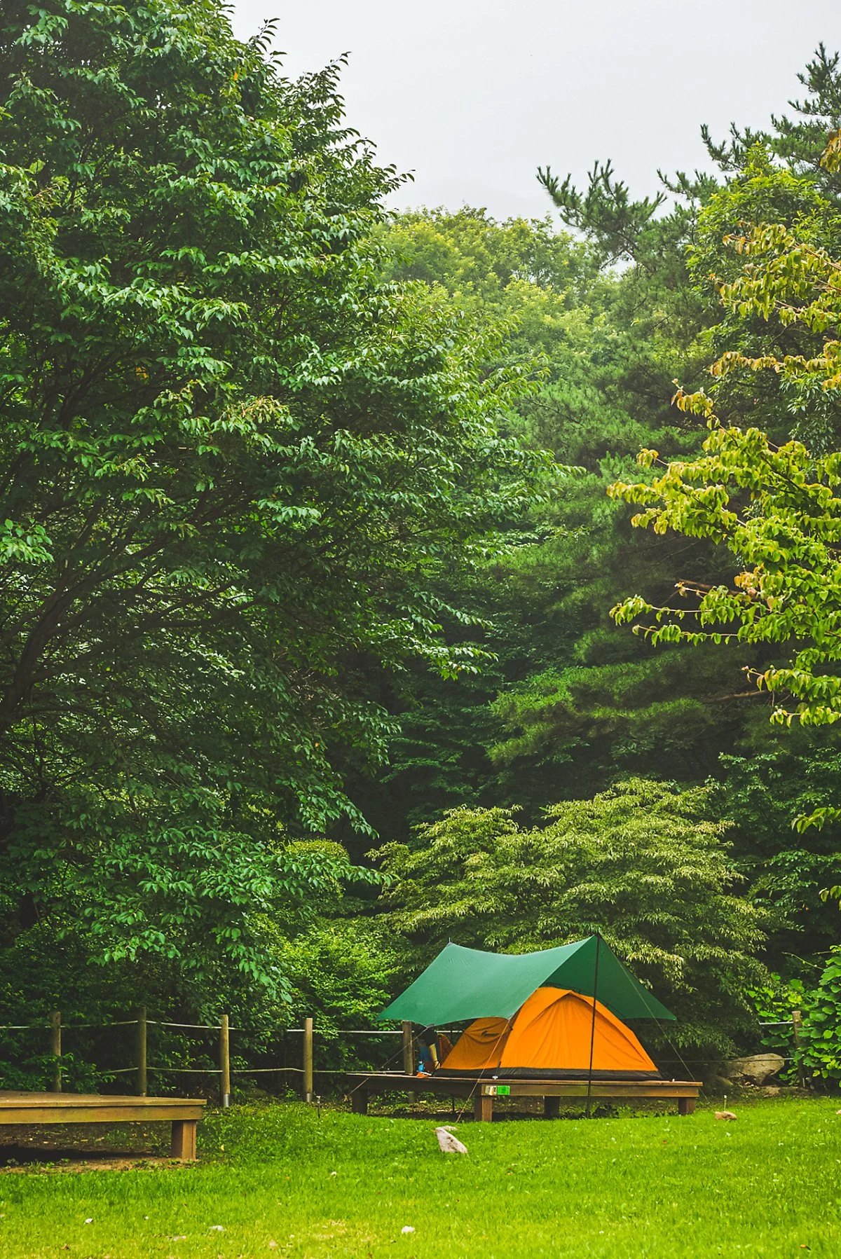 1p_%EB%8F%84%EB%B9%84%EB%9D%BC-%ED%95%A8%ED%97%88%EB%8F%99%EC%B2%9C_%287%29.jpg?type=w1200