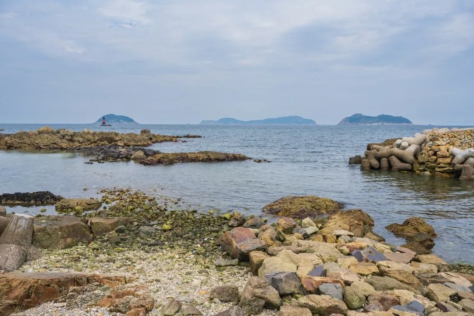 %ED%95%98%EC%B6%94%EC%9E%90_%EC%98%88%EC%B4%88%EB%A6%AC_(2).jpg?type=w966