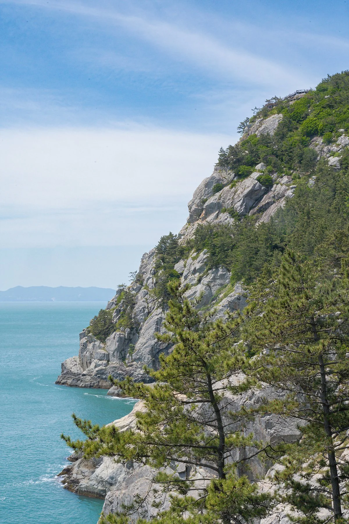 %EB%A7%A4%EB%B4%89%EC%A0%84%EB%A7%9D%EB%8C%80_%282%29.jpg?type=w1200