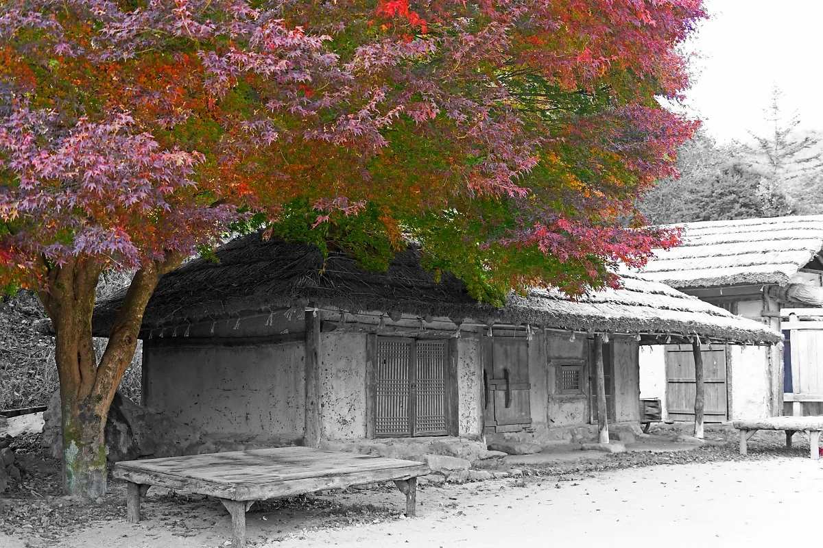 %EC%82%AC%EC%A7%848_%EB%AC%B8%EA%B2%BD%EC%83%88%EC%9E%AC_%EC%98%A4%ED%94%88%EC%84%B8%ED%8A%B8%EC%9E%A5_%EC%B4%88%EA%B0%80.jpg?type=w1200