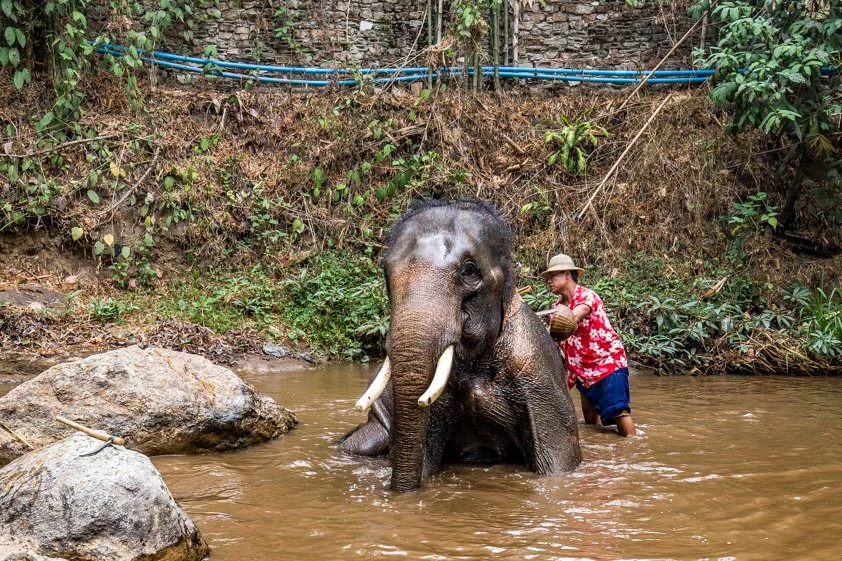 %EC%B9%98%EC%95%99%EB%A7%88%EC%9D%B4-5.jpg?type=w1200