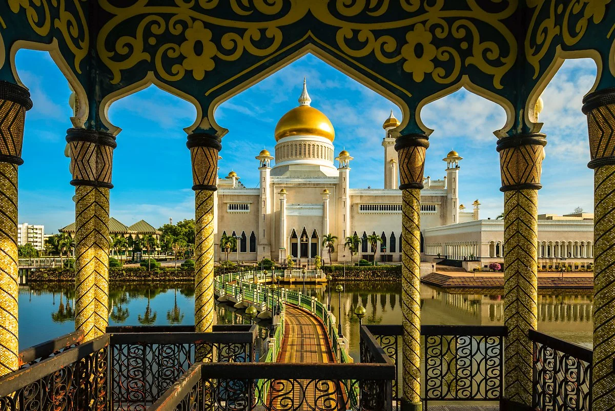 %EC%98%A4%EB%A7%88%EB%A5%B4_%EC%95%8C%EB%A6%AC_%EC%82%AC%EC%9D%B4%ED%91%B8%EB%94%98_%EB%AA%A8%EC%8A%A4%ED%81%AC_%E2%92%B8shutterstock.jpg?type=w1200